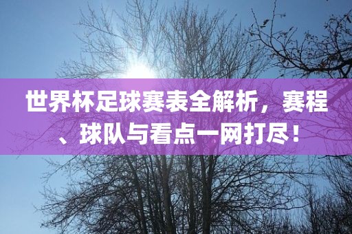 世界杯足球赛表全解析，赛程、球队与看点一网打尽！