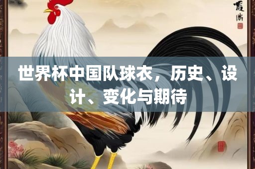世界杯中国队球衣，历史、设计、变化与期待