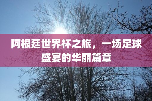 阿根廷世界杯之旅，一场足球盛宴的华丽篇章