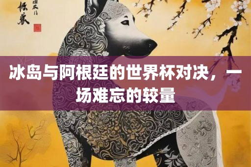 冰岛与阿根廷的世界杯对决，一场难忘的较量