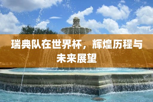 瑞典队在世界杯，辉煌历程与未来展望