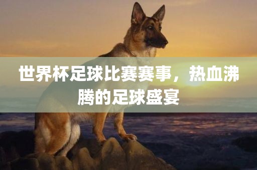 世界杯足球比赛赛事，热血沸腾的足球盛宴