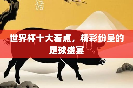 世界杯十大看点，精彩纷呈的足球盛宴