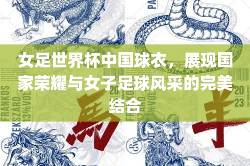 女足世界杯中国球衣，展现国家荣耀与女子足球风采的完美结合
