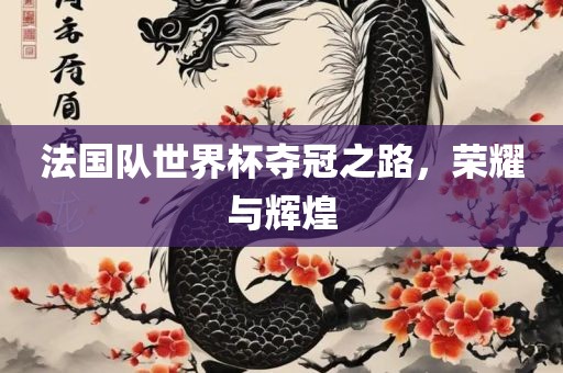 法国队世界杯夺冠之路，荣耀与辉煌