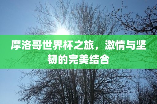 摩洛哥世界杯之旅，激情与坚韧的完美结合