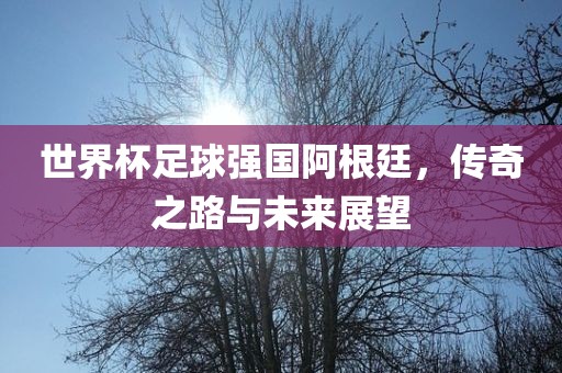 世界杯足球强国阿根廷，传奇之路与未来展望