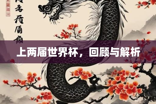 上两届世界杯，回顾与解析