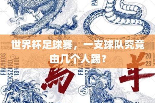 世界杯足球赛，一支球队究竟由几个人踢？