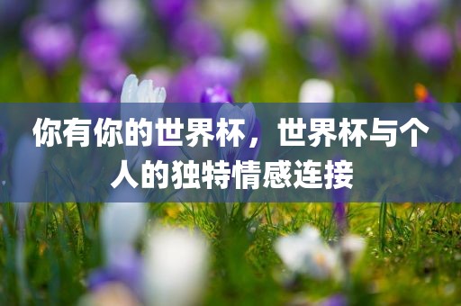 你有你的世界杯，世界杯与个人的独特情感连接