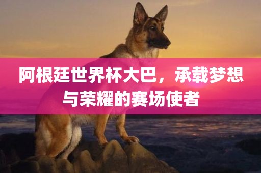 阿根廷世界杯大巴，承载梦想与荣耀的赛场使者