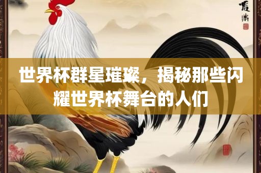 世界杯群星璀璨，揭秘那些闪耀世界杯舞台的人们