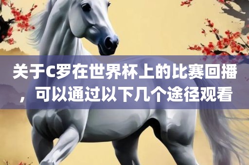 关于C罗在世界杯上的比赛回播，可以通过以下几个途径观看
