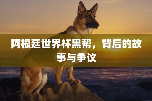 阿根廷世界杯黑帮，背后的故事与争议