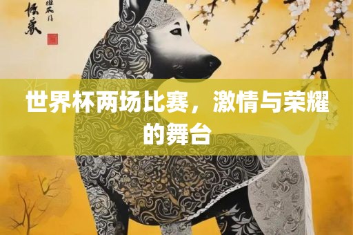 世界杯两场比赛，激情与荣耀的舞台