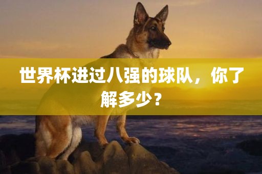 世界杯进过八强的球队，你了解多少？