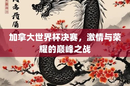 加拿大世界杯决赛，激情与荣耀的巅峰之战