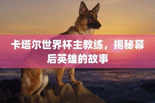 卡塔尔世界杯主教练，揭秘幕后英雄的故事
