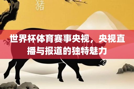 世界杯体育赛事央视，央视直播与报道的独特魅力