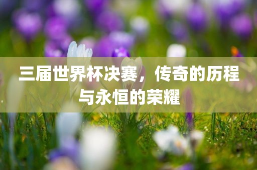 三届世界杯决赛，传奇的历程与永恒的荣耀