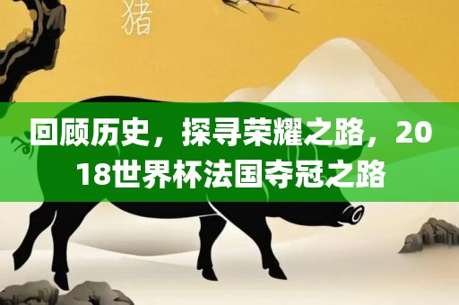 回顾历史，探寻荣耀之路，2018世界杯法国夺冠之路