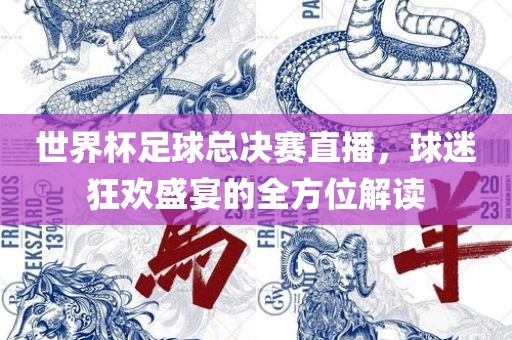 世界杯足球总决赛直播，球迷狂欢盛宴的全方位解读