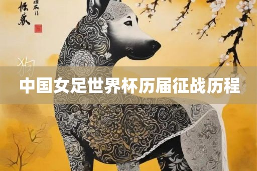 中国女足世界杯历届征战历程