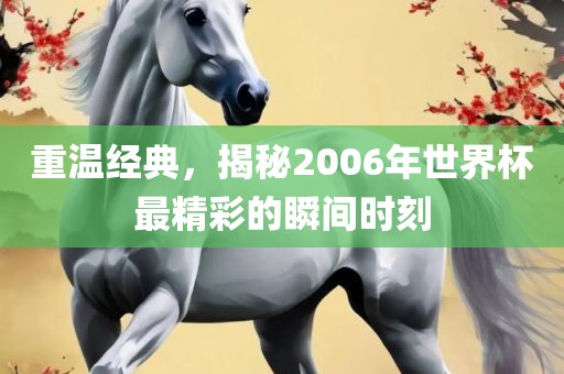 重温经典，揭秘2006年世界杯最精彩的瞬间时刻