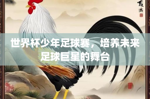 世界杯少年足球赛，培养未来足球巨星的舞台