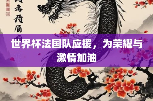 世界杯法国队应援，为荣耀与激情加油