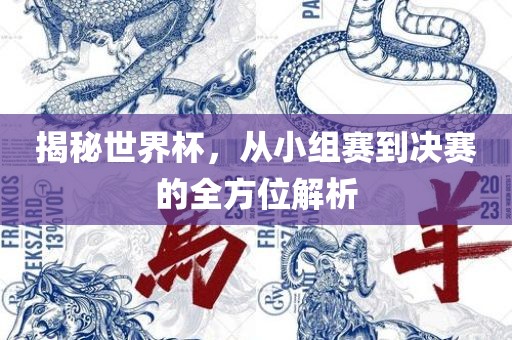 揭秘世界杯，从小组赛到决赛的全方位解析