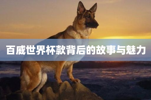 百威世界杯款背后的故事与魅力