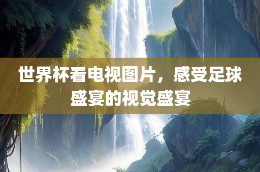 世界杯看电视图片，感受足球盛宴的视觉盛宴
