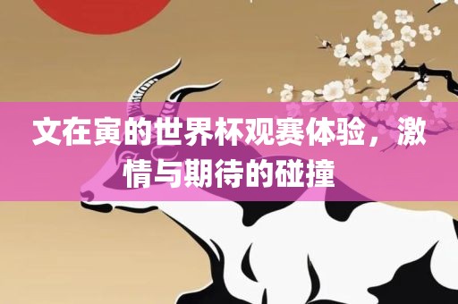 文在寅的世界杯观赛体验，激情与期待的碰撞