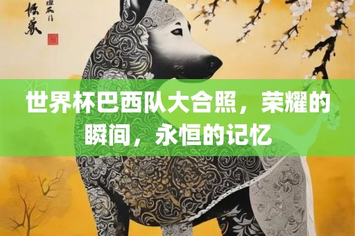 世界杯巴西队大合照，荣耀的瞬间，永恒的记忆