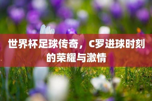 世界杯足球传奇，C罗进球时刻的荣耀与激情