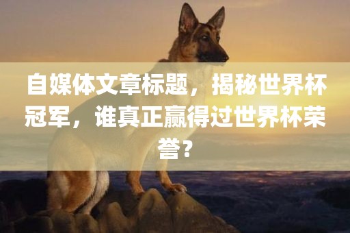 自媒体文章标题，揭秘世界杯冠军，谁真正赢得过世界杯荣誉？