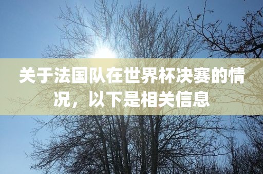 关于法国队在世界杯决赛的情况，以下是相关信息