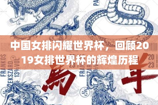 中国女排闪耀世界杯，回顾2019女排世界杯的辉煌历程