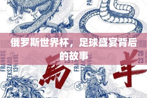 俄罗斯世界杯，足球盛宴背后的故事