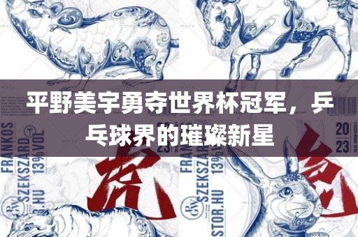 平野美宇勇夺世界杯冠军，乒乓球界的璀璨新星
