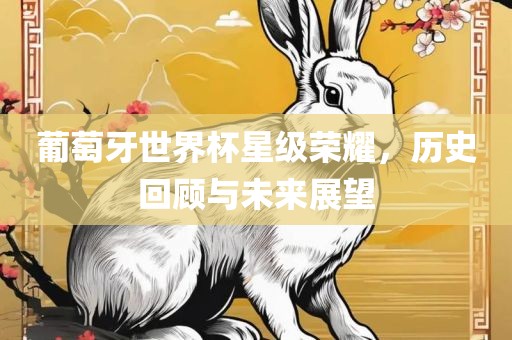 葡萄牙世界杯星级荣耀，历史回顾与未来展望