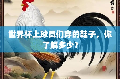 世界杯上球员们穿的鞋子，你了解多少？