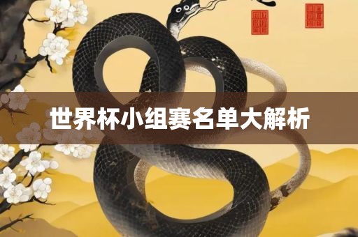 世界杯小组赛名单大解析