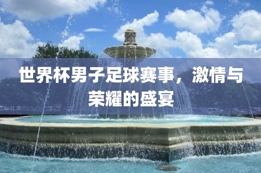 世界杯男子足球赛事，激情与荣耀的盛宴眉山市正发家政服务有限公司