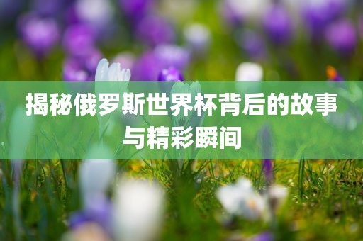 揭秘俄罗斯世界杯背后的故事与精彩瞬间