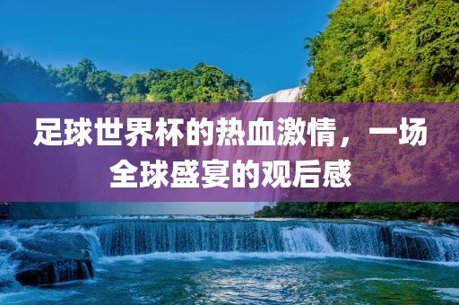 足球世界杯的热血激情，一场全球盛宴的观后感