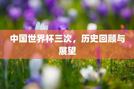 中国世界杯三次，历史回顾与展望