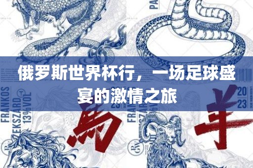 俄罗斯世界杯行，一场足球盛宴的激情之旅