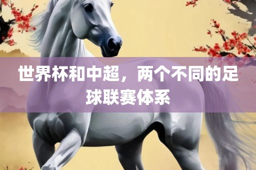 世界杯和中超，两个不同的足球联赛体系